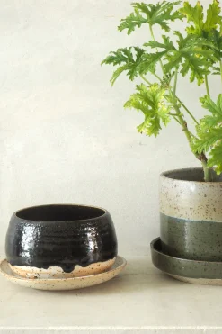 PLANT Nina Frigg stor no. 8 Clearance