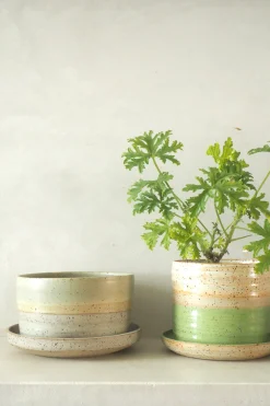 PLANT Nina Frigg stor no. 10 Online