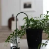 PLANT Straws, Grøn Discount