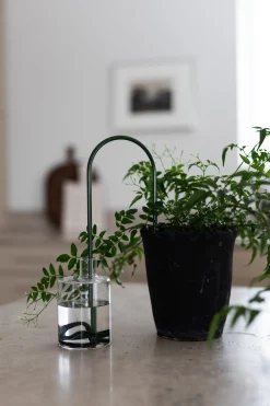 PLANT Straws, Grøn Discount