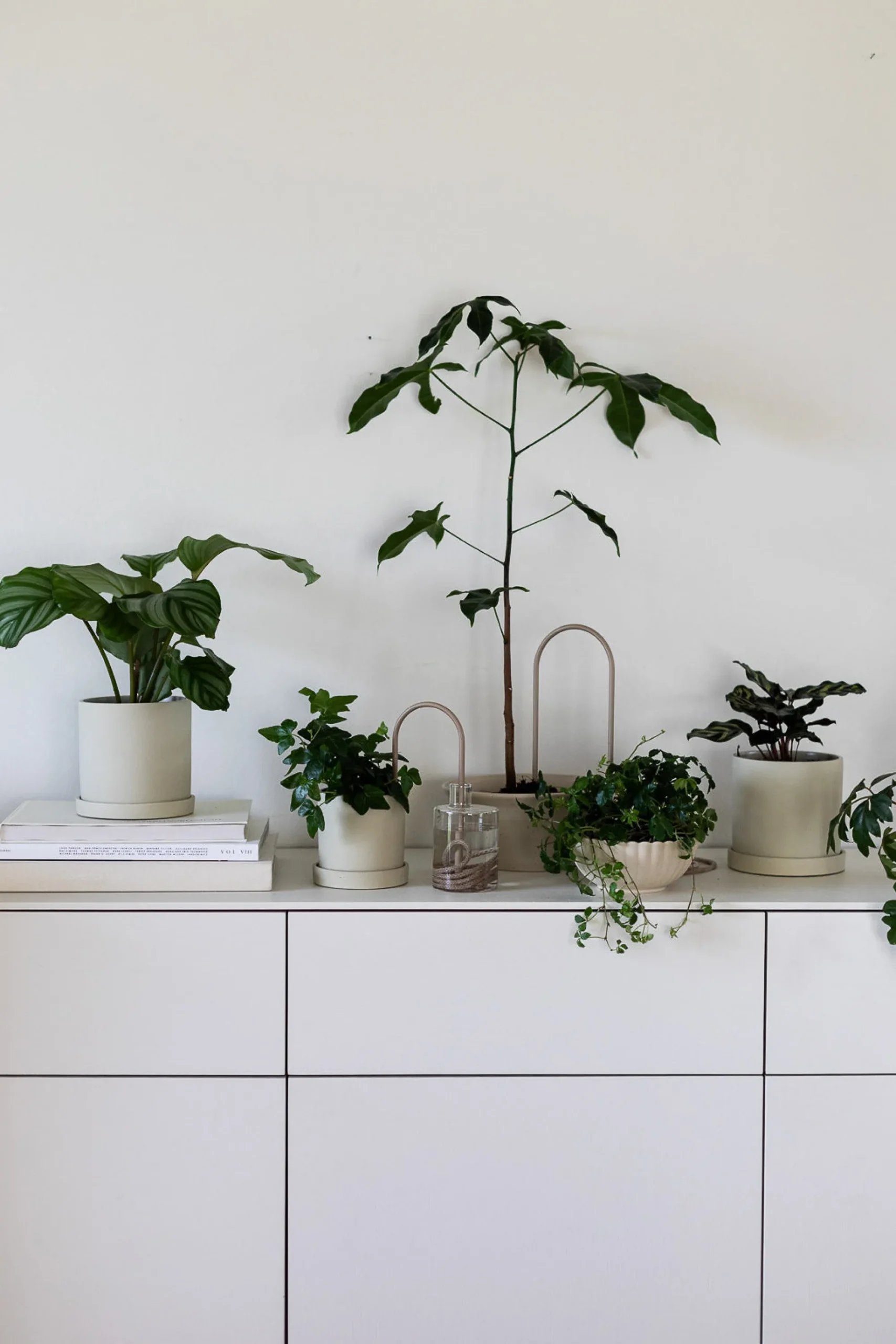 PLANT Straws, sand New
