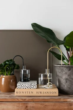 PLANT Straws, sand New