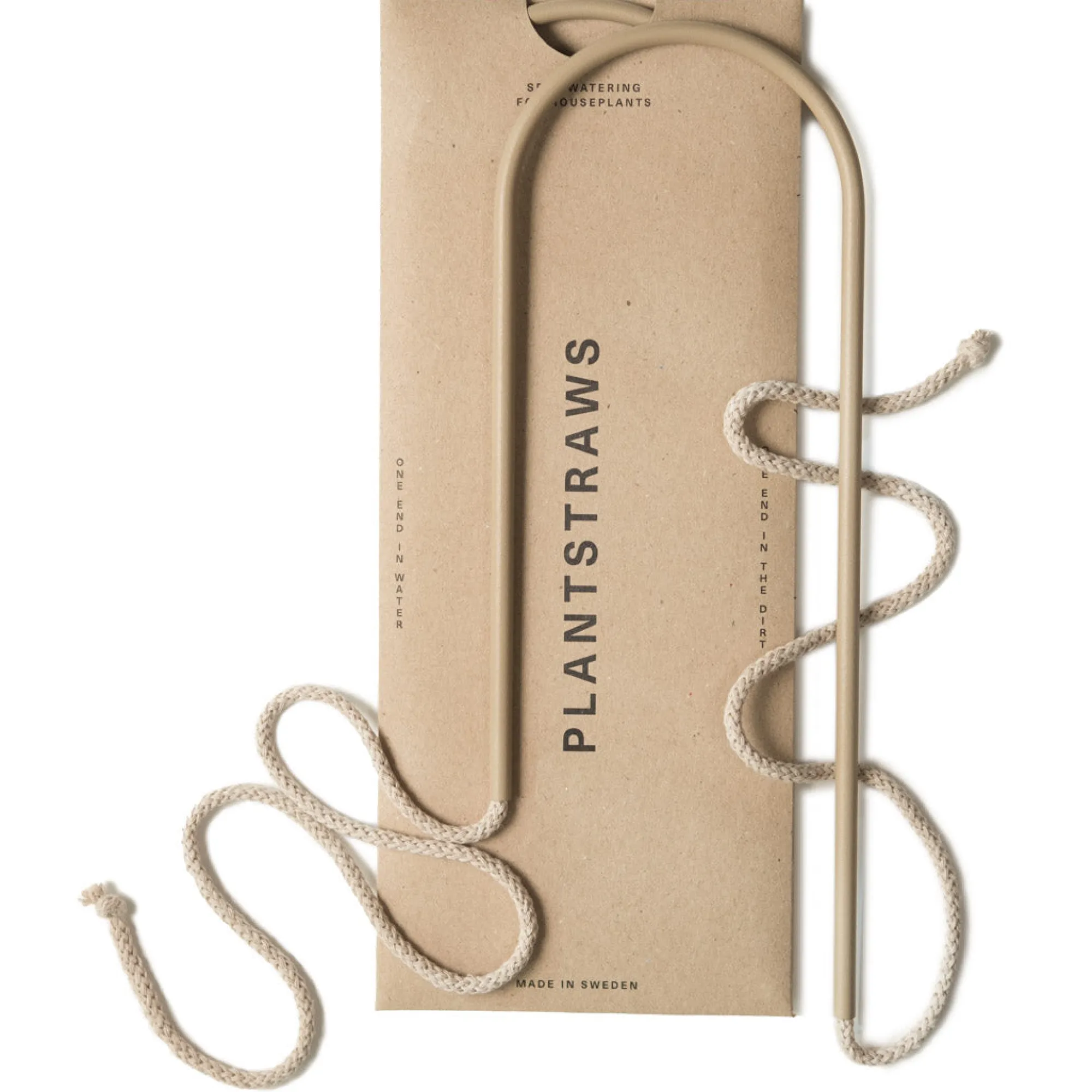 PLANT Straws, sand New