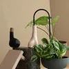 PLANT Straws, sort Clearance