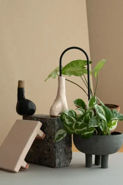 PLANT Straws, sort Clearance