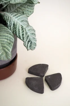 PLANT Pottefødder, grå Discount