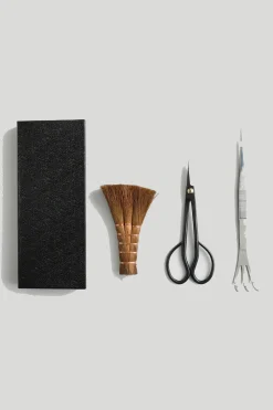 PLANT Pro Bonsai starter kit Sale