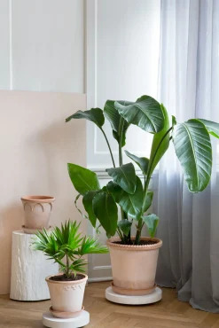 PLANT Rolling stones - rulleplade til gulver Discount
