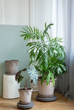 PLANT Rolling stones - rulleplade til gulver Discount