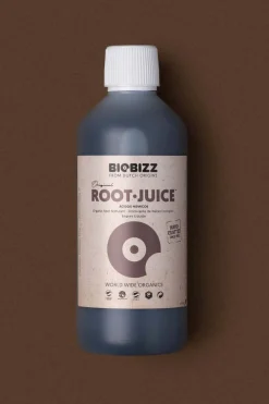 PLANT Root Juice Sale