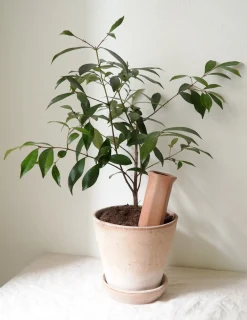 PLANT Selvvandingscylinder Clearance