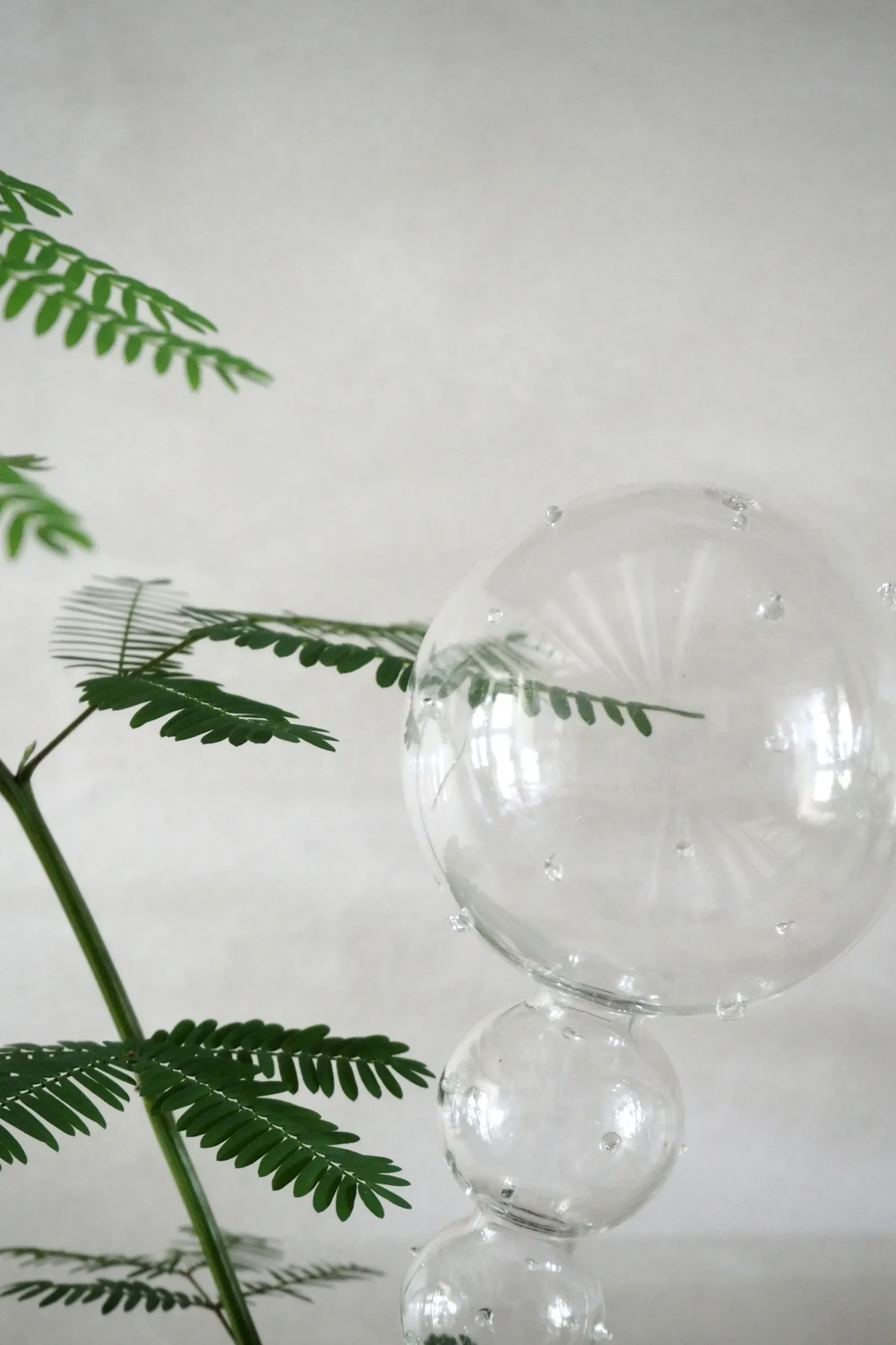 PLANT Selvvandingsglas, 4 stk New