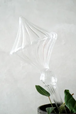PLANT Selvvandingsglas, diamond Discount