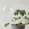 PLANT Selvvandingsglas, dot Clearance