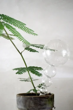 PLANT Selvvandingsglas, double dot Best