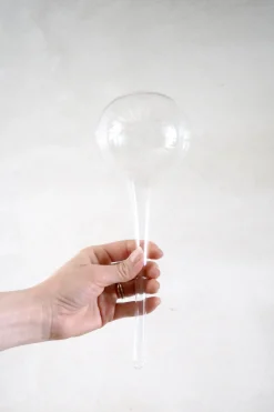 PLANT Selvvandingsglas, globe Clearance