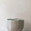 PLANT StineMei - Wood blue Best