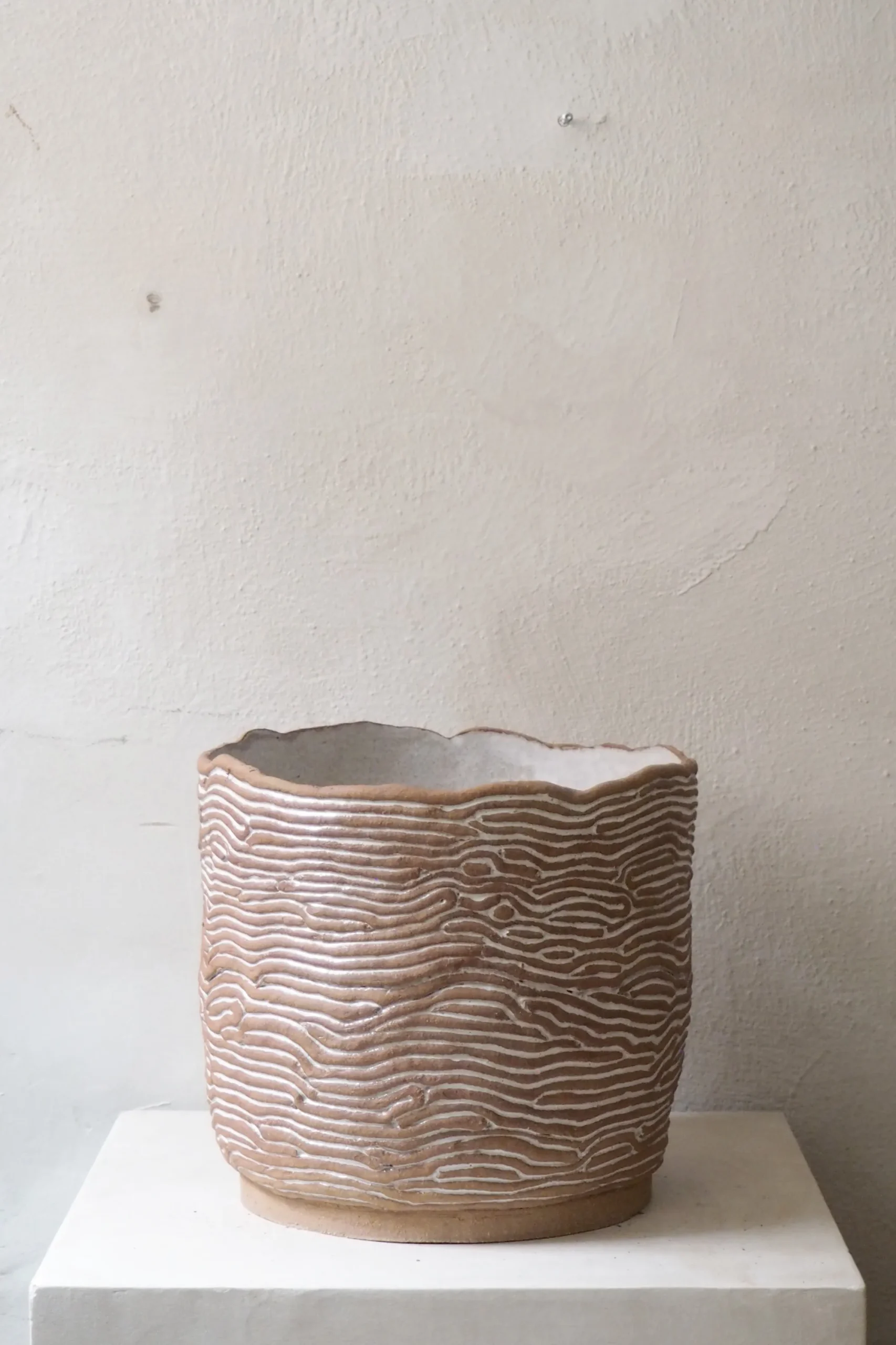 PLANT StineMei - Wood brown Online