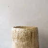 PLANT StineMei - Wood Yellow Hot