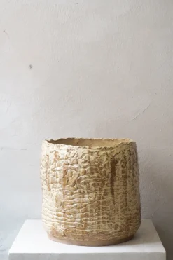 PLANT StineMei - Wood Yellow Hot