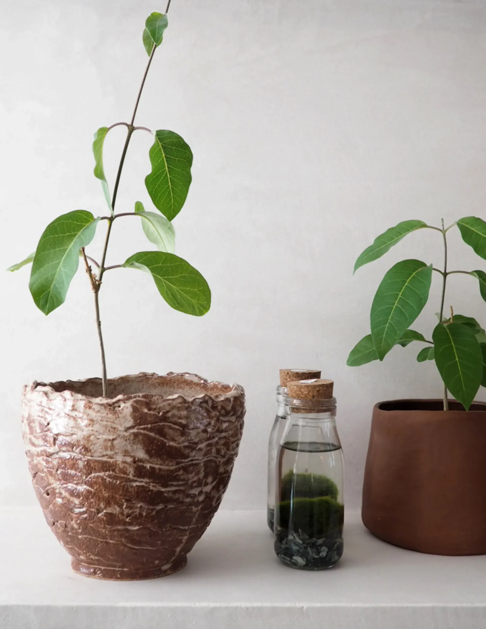 PLANT StineMei krukke - red Discount