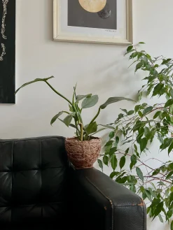 PLANT StineMei krukke - red Discount