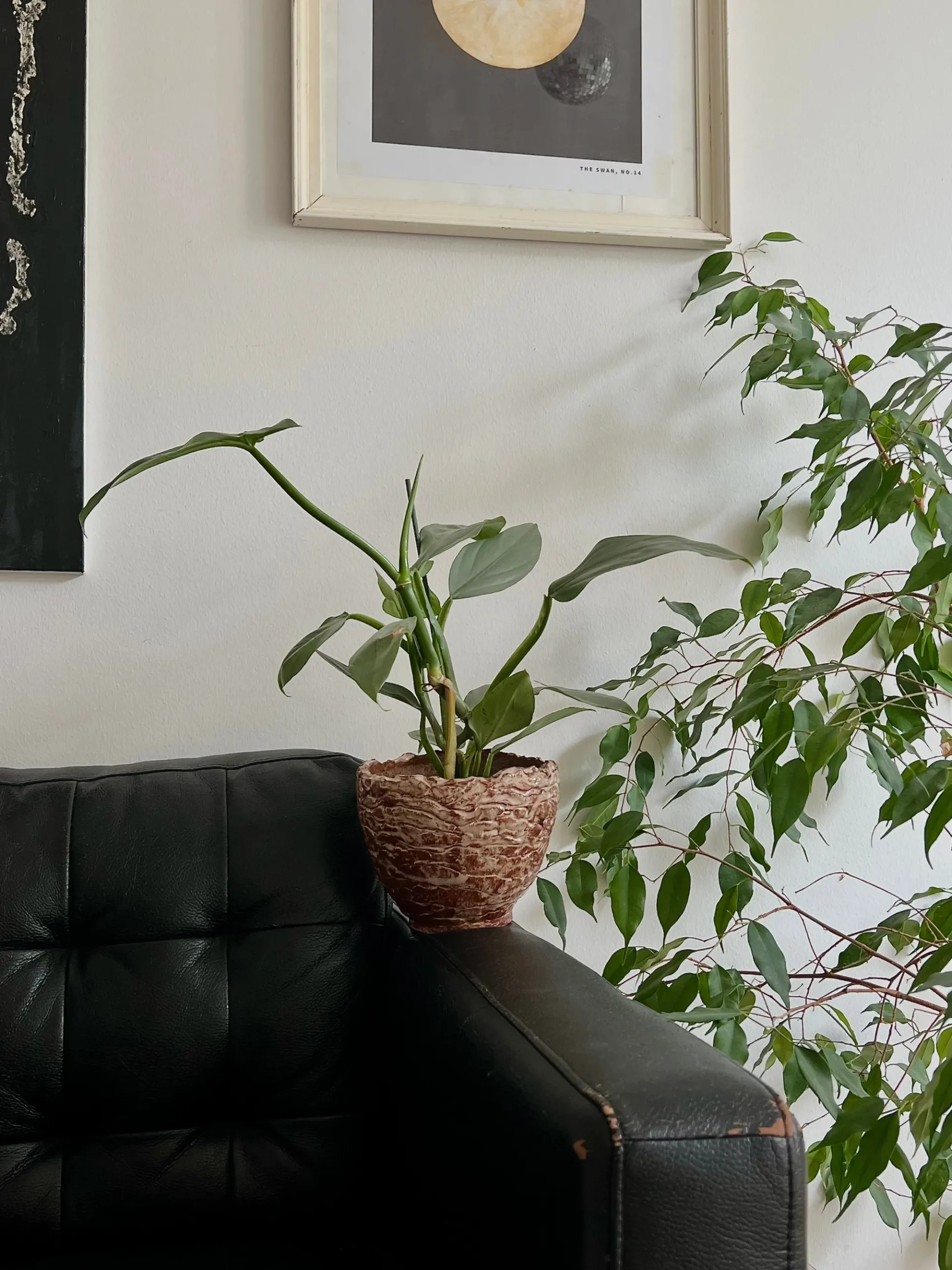 PLANT StineMei krukke - red Discount