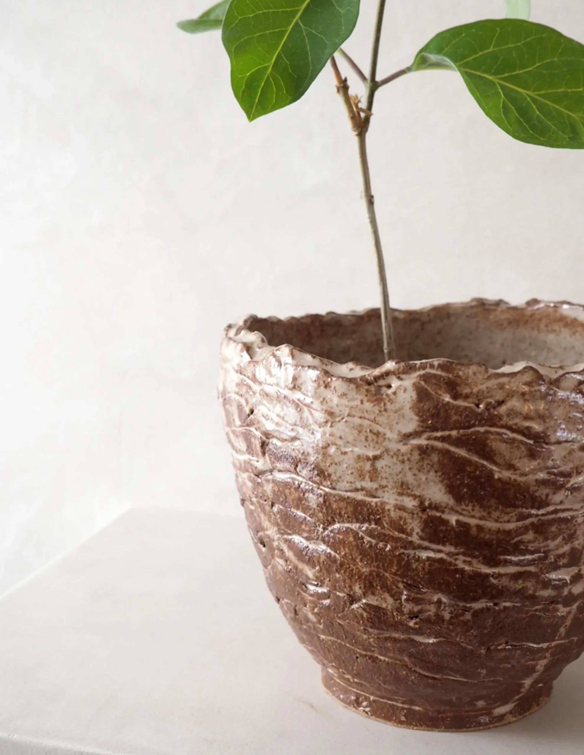 PLANT StineMei krukke - red Discount