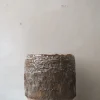 PLANT StineMei Wood Bark New