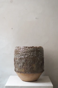 PLANT StineMei Wood Bark New