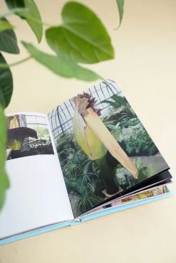 PLANT Strange s Sale