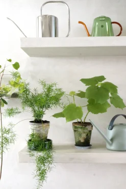 PLANT Stuelind