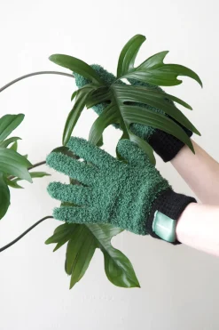 PLANT Støvhandsker