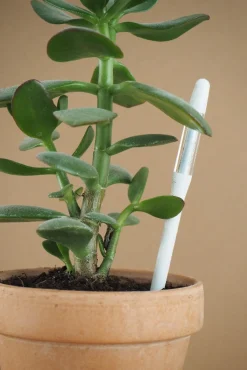 PLANT SUSTEE vand'o'meter Sale