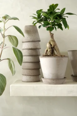 PLANT Terracotta krukke - grå Hot