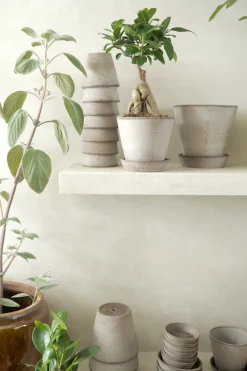 PLANT Terracotta krukke - grå Hot