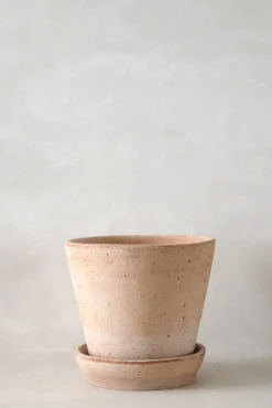 PLANT Terracotta krukke - rosa