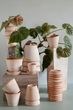 PLANT Terracotta krukke - rosa