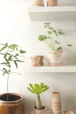PLANT Terracotta krukke - rosa