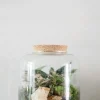 PLANT Terrarie no. 02 Best