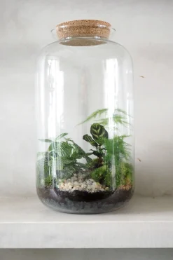PLANT Terrarie no. 11 Outlet