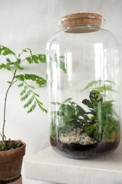 PLANT Terrarie no. 11 Outlet