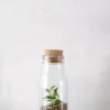 PLANT Terrarie no. 16 Outlet
