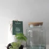 PLANT Terrariekit m. glas Hot