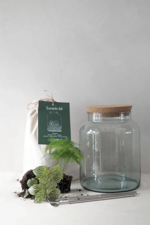 PLANT Terrariekit m. glas Hot