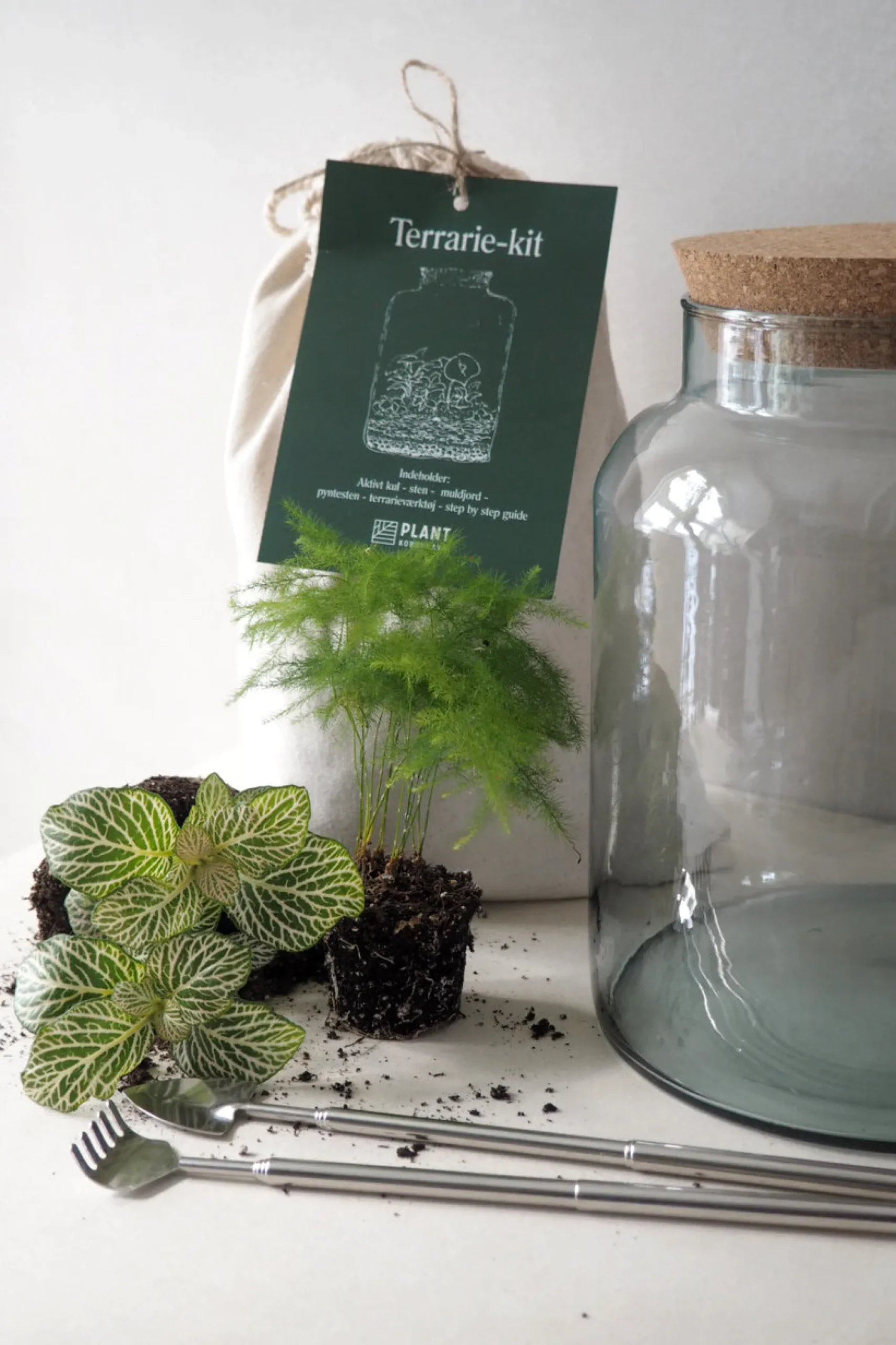 PLANT Terrariekit m. glas Hot