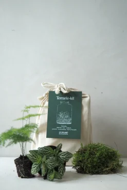 PLANT Terrariekit m. glas Hot