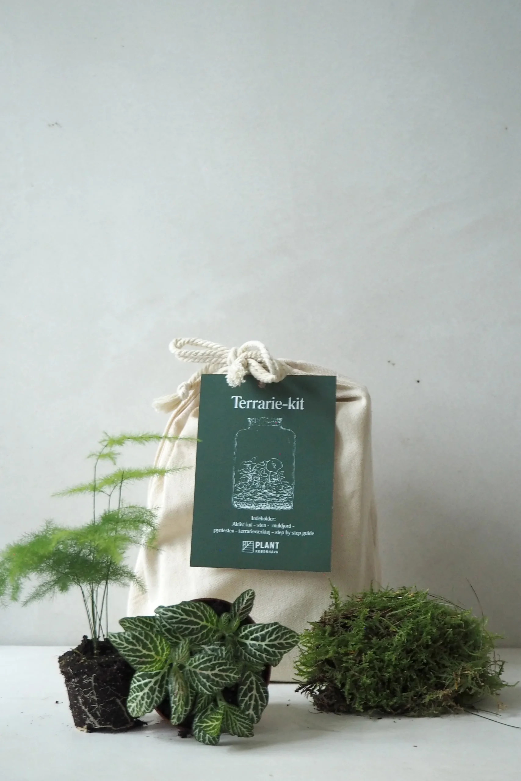 PLANT Terrariekit u. glas Hot