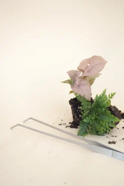 PLANT Terrariepincet Online