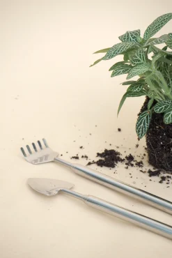 PLANT Terrarieværktøj Discount